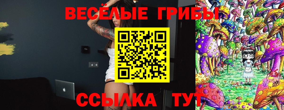 Псилоцибиновые грибы Cubensis Нарткала