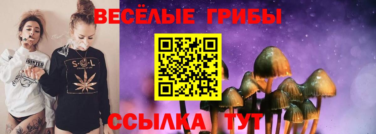 Галлюциногенные грибы Cubensis  Вход с VPN  Нарткала 